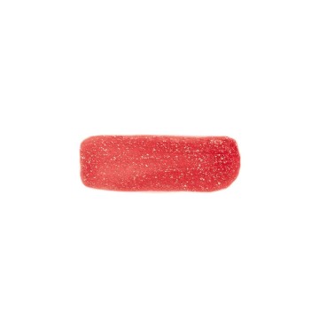 LE PHYTO GLOSS lipgloss